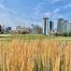 Three Days in Calgary
