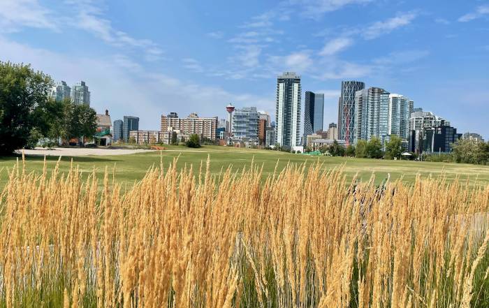 Three Days in Calgary