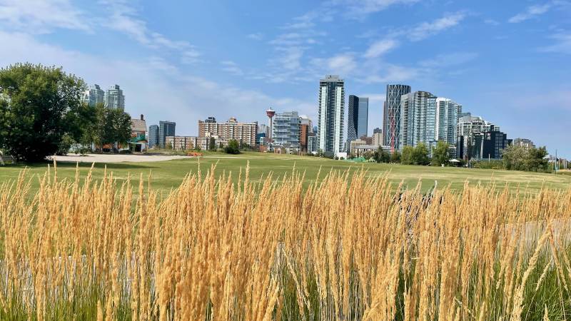 Three Days in Calgary