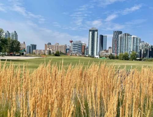 Three Days in Calgary