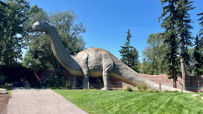 Calgary Zoo, Dinny