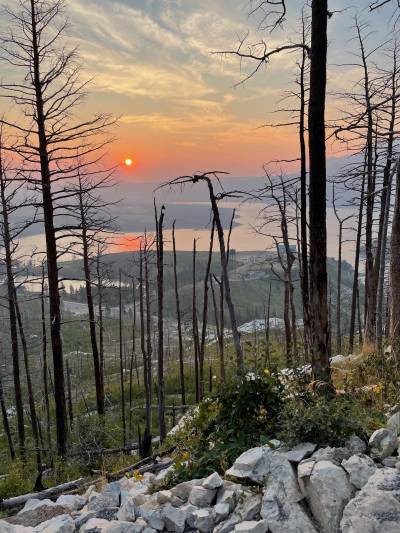 Bear's Hump Trail